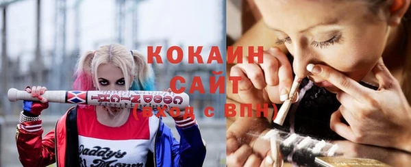 индика Магас