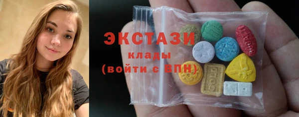 индика Магас
