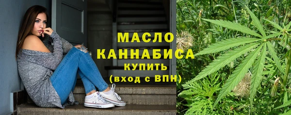 индика Магас