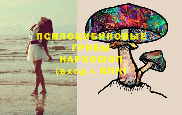 ECSTASY Магадан