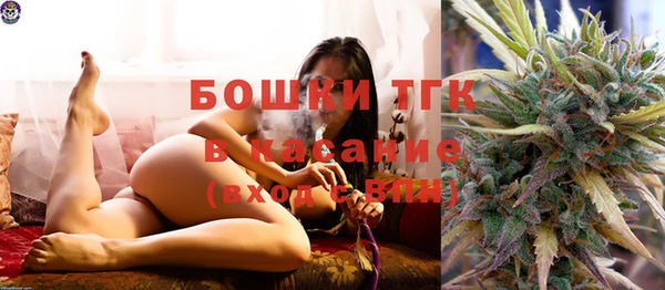 индика Магас