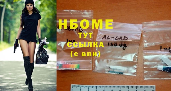 индика Магас