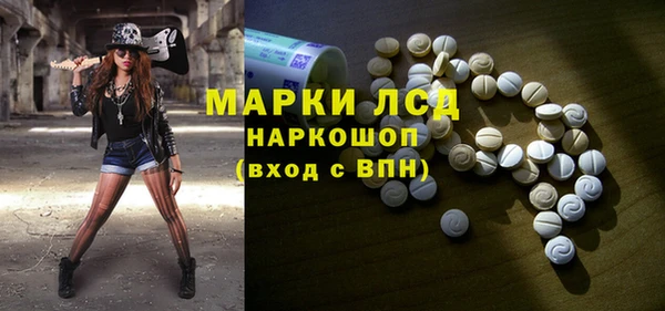 индика Магас
