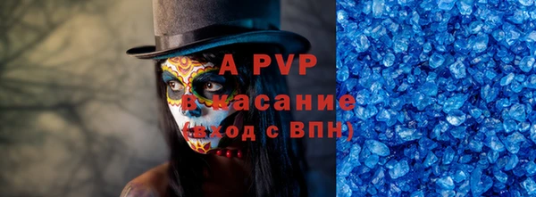 индика Магас