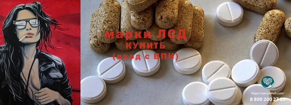 индика Магас