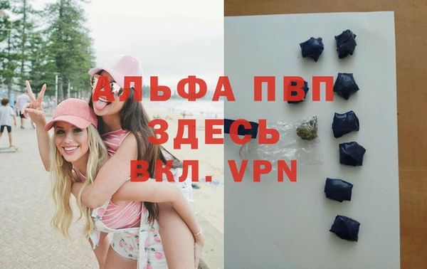индика Магас