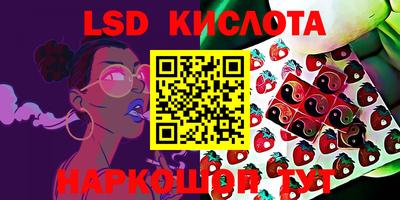 ALPHA-PVP Камышлов