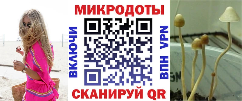 дарнет шоп  Тихорецк  блэк спрут как войти  Псилоцибиновые грибы MAGIC MUSHROOMS 