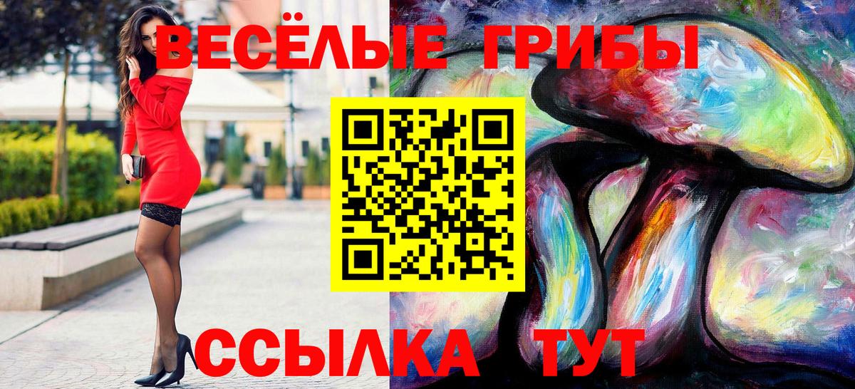 Псилоцибиновые грибы прущие грибы  Вход с VPN  Тихорецк 